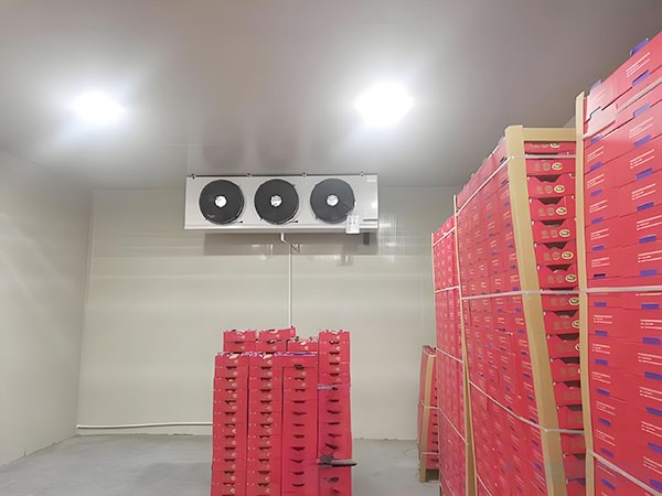 蘋果冷庫(kù)建造