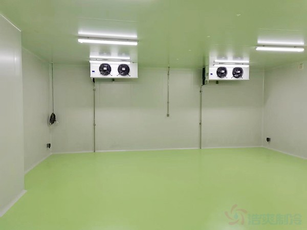 醫(yī)藥冷鏈倉庫建設案例分享