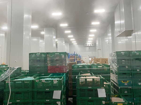 哈薩克斯坦阿拉木圖果蔬冷庫建造設(shè)計方案分享