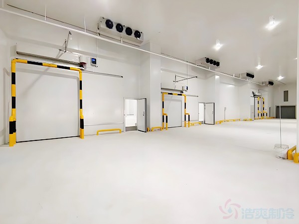 吉爾吉斯比什凱克高效冷庫方案：建設(shè)要點與配置建議