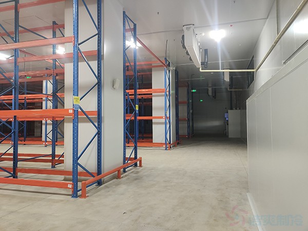 投資300萬建中藥材凍庫，能做多大面積？